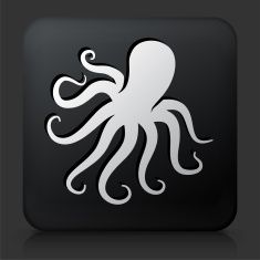 an octopus icon on a black square button