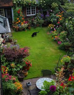 an aerial view of a garden with flowers and a black cat in the distance,