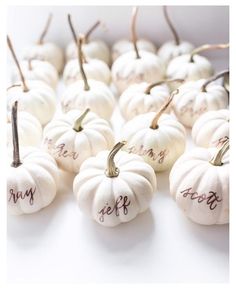 small white pumpkins with writing on them are arranged in rows and placed next to each other