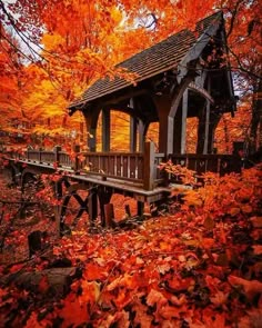 an old wooden gazebo surrounded by fall leaves and trees with orange foliage in the foreground