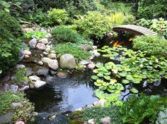 a small pond surrounded by rocks and water lilies