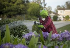 a person in a red robe is spraying water on some purple flowers with a hose