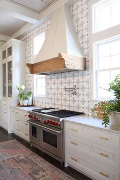 a kitchen with white cabinets, an oven and a potted plant on the counter