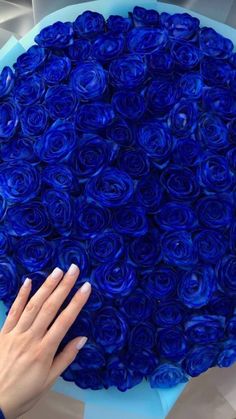 a woman's hand on top of a large blue rosette cake