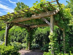 a wooden pergoline surrounded by lush green plants