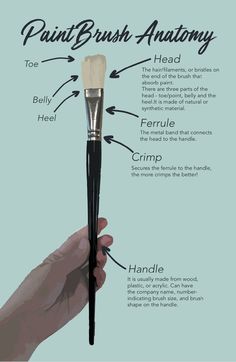 an artist's hand holding a brush with the words paintbrush anatomy on it