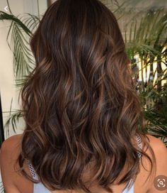 Hair With Highlights, Brown Hair Looks, Brown Hair Inspo, Brunette Hair With Highlights, Brunette Balayage Hair, Brown Hair Balayage, Balayage Brunette, Brown Hair With Highlights, Hair Inspiration Color