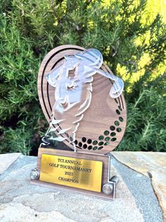 an award is placed on top of a rock