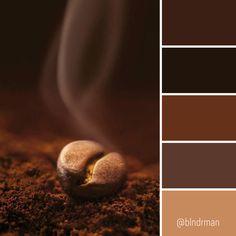 Coffee Color Palette, Dark Chocolate Color, Color Combos Outfit, Interior House Colors, Brown Color Palette, Interior Design Guide, Color Schemes Colour Palettes, Living Room Color Schemes, House Color Schemes