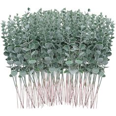 PRICES MAY VARY. Package include: 120 pcs artificial eucalyptus stems are included, a large quantity green eucalyptus stems for vase and home decoration Stem size: length of the eucalyptus stems about 15 inch, you can cut or twist the wire to adjust the artificial stems'length on your demand Premium material: FEQO faux eucalyptus stems are made of premium plastic and wire, to achieving the more vivid visual effect, the fake eucalyptus leaves with white powder planting process Well match: the rea Takken Decor, Vase With Branches, Eucalyptus Stems, Bouquet Home Decor, Faux Eucalyptus, Feuille Eucalyptus, Eucalyptus Branches, Artificial Eucalyptus, Artificial Plants Outdoor