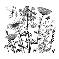 black and white drawing of wildflowers with butterfly on the top, against a white background