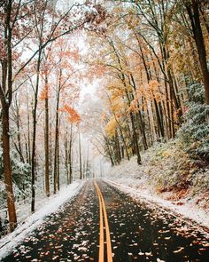 an empty road surrounded by trees in the fall with leaves on the ground and snow on the ground