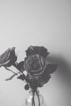 a black and white photo with roses in a glass vase on a table that says, when you go would you even turn to say i don't love you like you