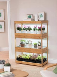 a wooden shelf filled with potted plants on top of a hard wood floor next to a wall