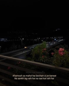 the night sky is lit up with street lights and flowers in front of a highway