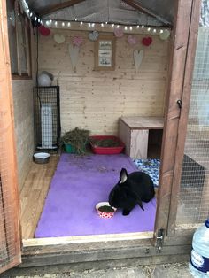 a black dog eating food out of a bowl on top of a purple area rug