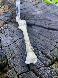 a bone is tied to a piece of wood with a chain on the end and some leaves in the background