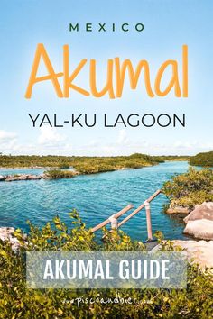 the cover of mexico's yal - ku lagoon with text overlaying it