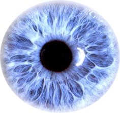 the iris of an eye is shown in this image