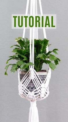 a white macrame plant hanger with green plants in it