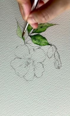 someone is drawing a flower with a pencil