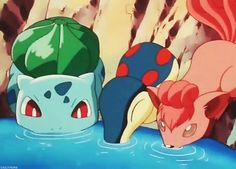 two pokemons are swimming in the water