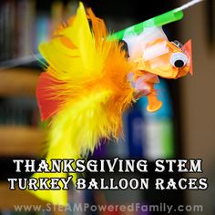 Thanksgiving STEM Activities - Turkey Balloon Races Turkey Stem Activities, Thanksgiving Elementary Activities, Thanksgiving Middle School, Thanksgiving Elementary, Stem Activities Middle School, Thanksgiving Play