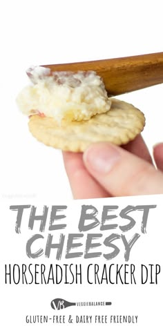 the best cheesey horseradish cracker dip recipe with gluen free dairy - free friendly