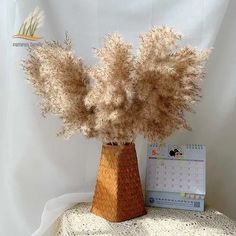 High quality prodect Old Fashioned Words, Dried Pampas Grass Decor, Dried Flowers Arrangement, Home Christmas Decorations, Natural Bouquet, Grass Bouquet, Pampas Grass Bouquet, Plastic Vase, Flowers For Home