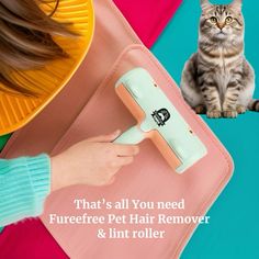 a cat sitting on top of a pink rug next to a person holding a hair dryer