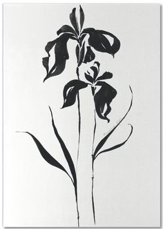 a black and white drawing of a flower