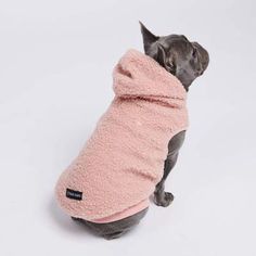 a small dog wearing a pink coat