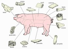 a pig labeled in all the parts of it's body, including meat and cheeses