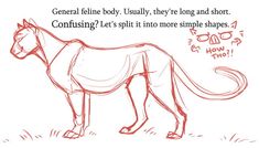 a drawing of a horse with the caption general feeling usually they're long and short