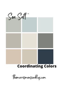 Comfort Gray, Trade Wind, Top sail, Mindful Gray, Heron Plume, Cityscape, Sand Dollar, Accessible Beige, Naval are the coordinating colors Sherwin Williams Sea Salt Accent Colors, Sea Salt Sherwin Williams Bedroom Decor, Top Sail Sherwin Williams Paint, Sea Salt Office, Paint Color Sea Salt, Sw Sea Salt Color Palette, Sherwin Williams Sea Salt Bathroom, Sea Salt And Navy, Benjamin Moore Sea Salt