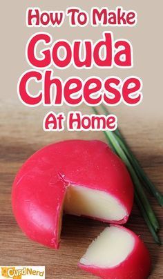 how to make goudaa cheese at home