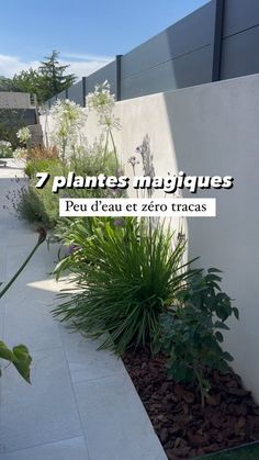 an image of a garden with plants growing in it and the words 7 plantes navigatinges peu deut et zero tras