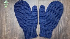 two blue crocheted mittens sitting on top of a wooden table next to a plant