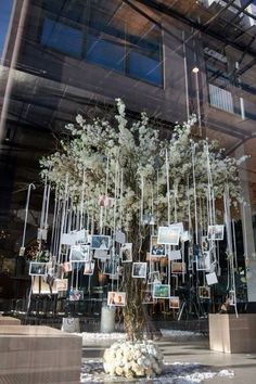 a tree with white flowers in front of a glass window that has pictures on it