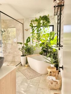 a bathroom with plants in the bathtub