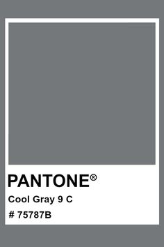 the pantone color is shown in gray