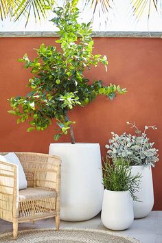 three white vases sitting next to each other on top of a rug in front of a wall