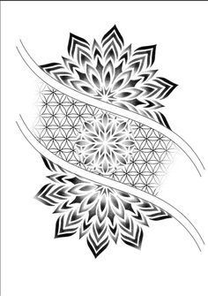 a black and white drawing of a flower with an arrow in it's center