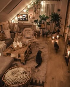 a living room filled with lots of furniture and lights on the ceiling above it is a cat sitting on a rug next to a coffee table