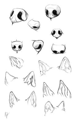 an image of some animal heads drawn in black and white