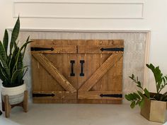 some plants are sitting next to a wooden door