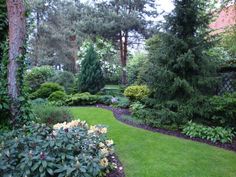 a lush green yard with trees and bushes