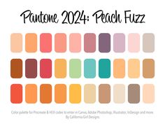 the pantone 2012 peach fizz color palette is shown in different shades and sizes