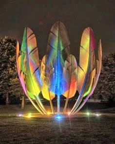 an art installation with colorful lights in the grass and large feathers on it's back