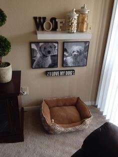 a dog bed in the middle of a living room with two pictures on the wall